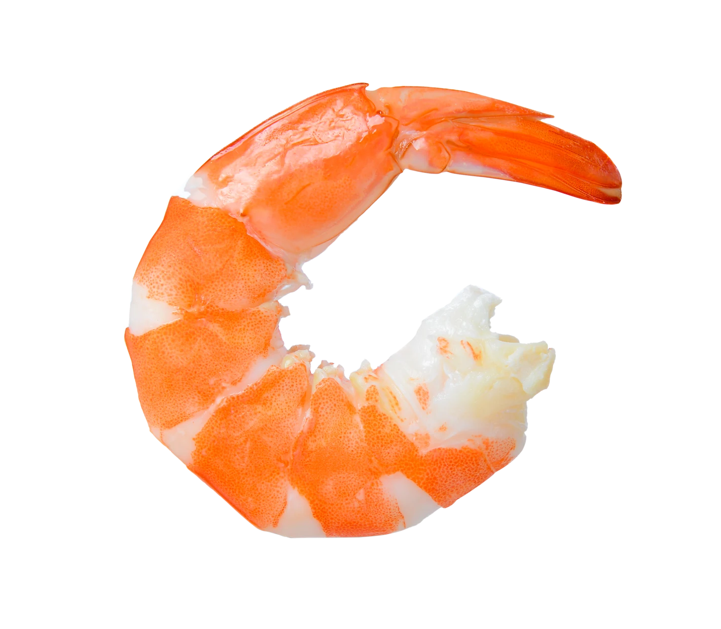 Cooked Shrimp